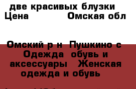 две красивых блузки › Цена ­ 1 200 - Омская обл., Омский р-н, Пушкино с. Одежда, обувь и аксессуары » Женская одежда и обувь   